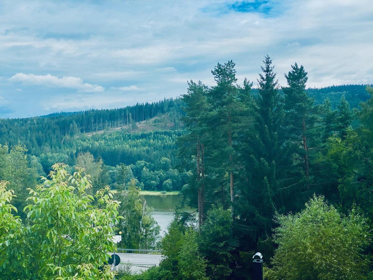 Apartmany Lipno 46 Lipno nad Vltavou Dış mekan fotoğraf