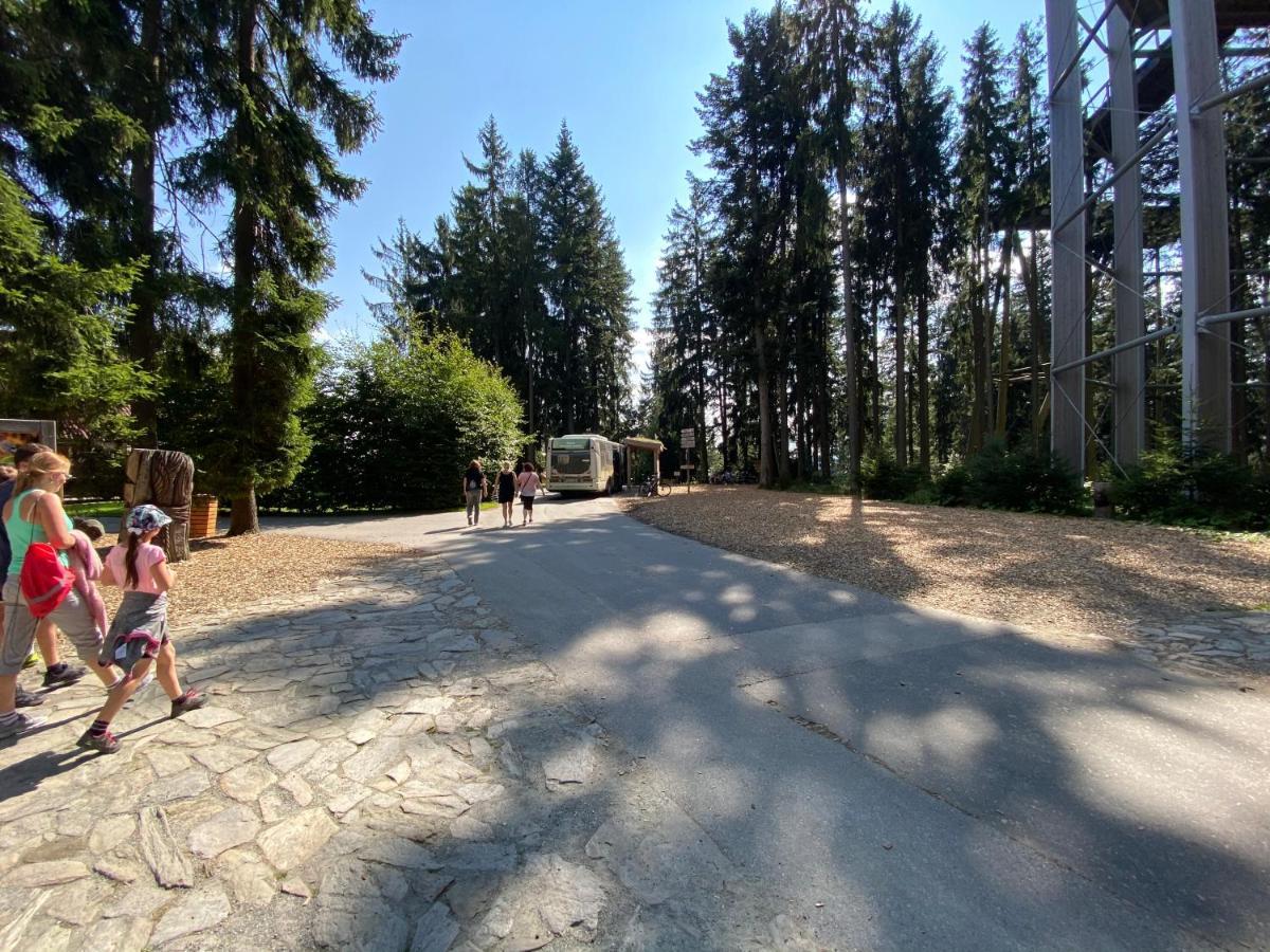 Apartmany Lipno 46 Lipno nad Vltavou Dış mekan fotoğraf