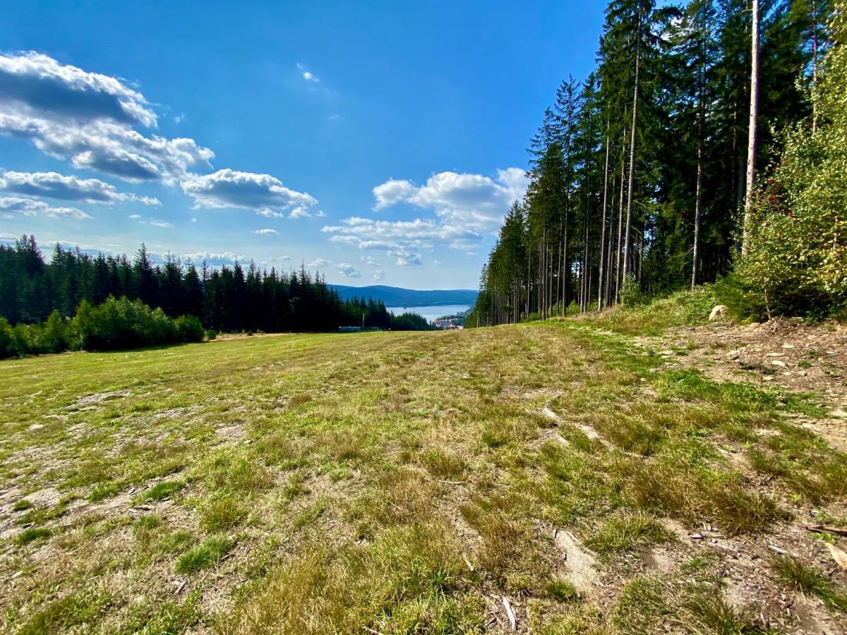 Apartmany Lipno 46 Lipno nad Vltavou Dış mekan fotoğraf