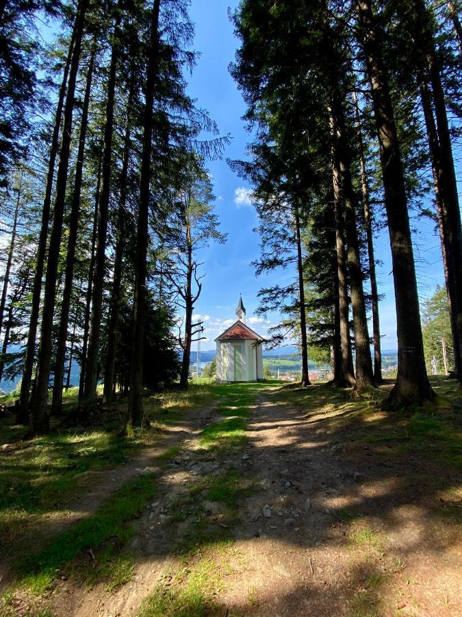 Apartmany Lipno 46 Lipno nad Vltavou Dış mekan fotoğraf